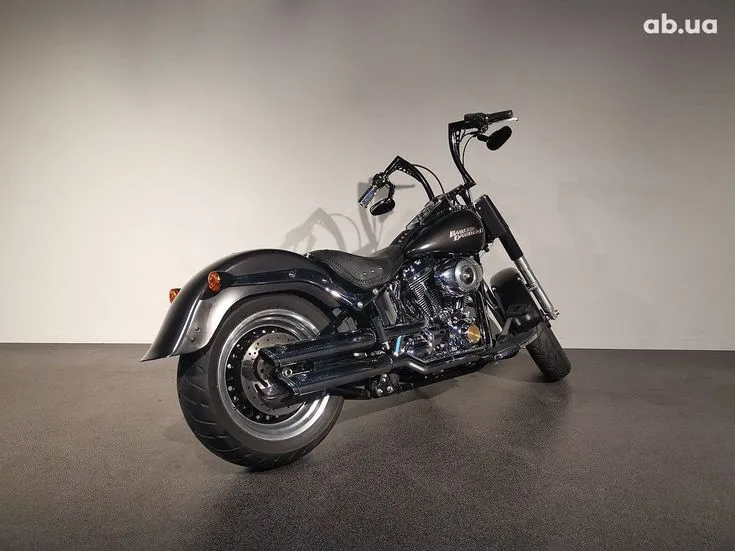 Harley-Davidson FLSTF Image 7